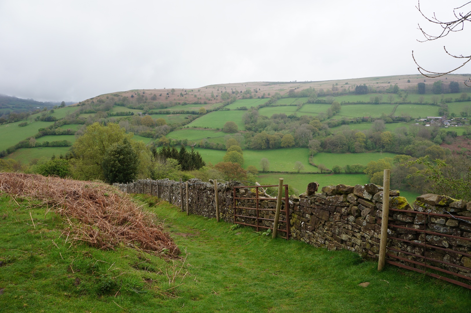 albums/Abergavenny_2024/DSC00336.JPG