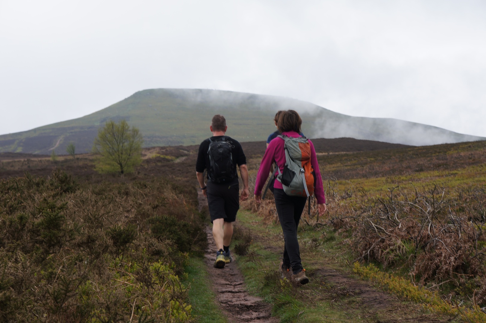 albums/Abergavenny_2024/DSC00346.JPG