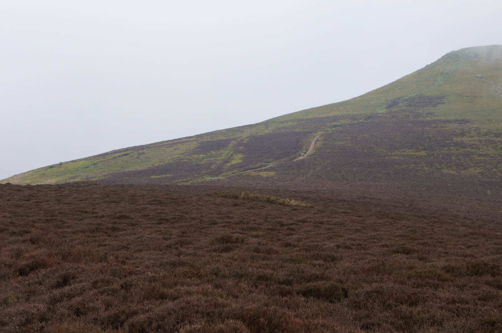 albums/Abergavenny_2024/DSC00353.JPG