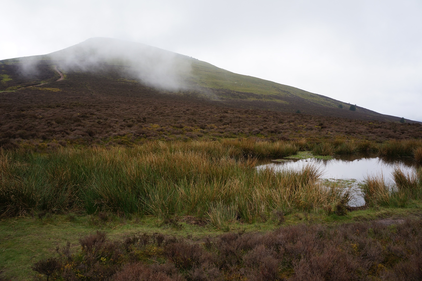 albums/Abergavenny_2024/DSC00356.JPG