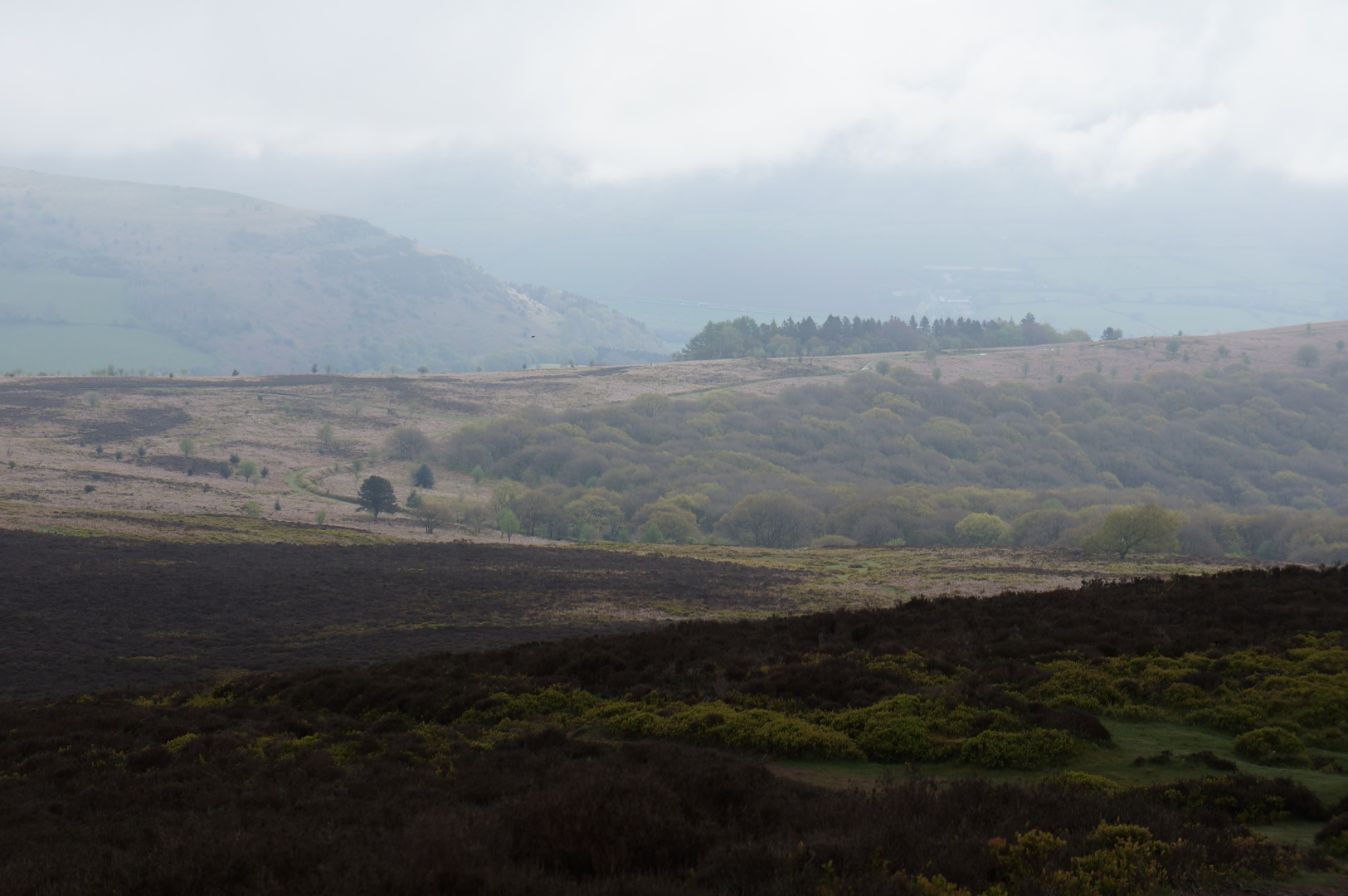 albums/Abergavenny_2024/DSC00357.JPG