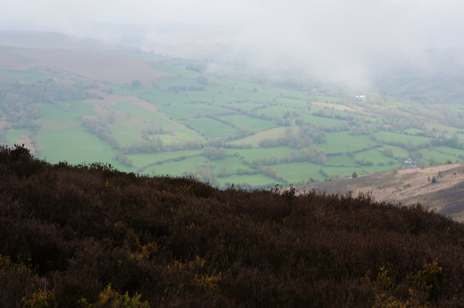 albums/Abergavenny_2024/DSC00358.JPG